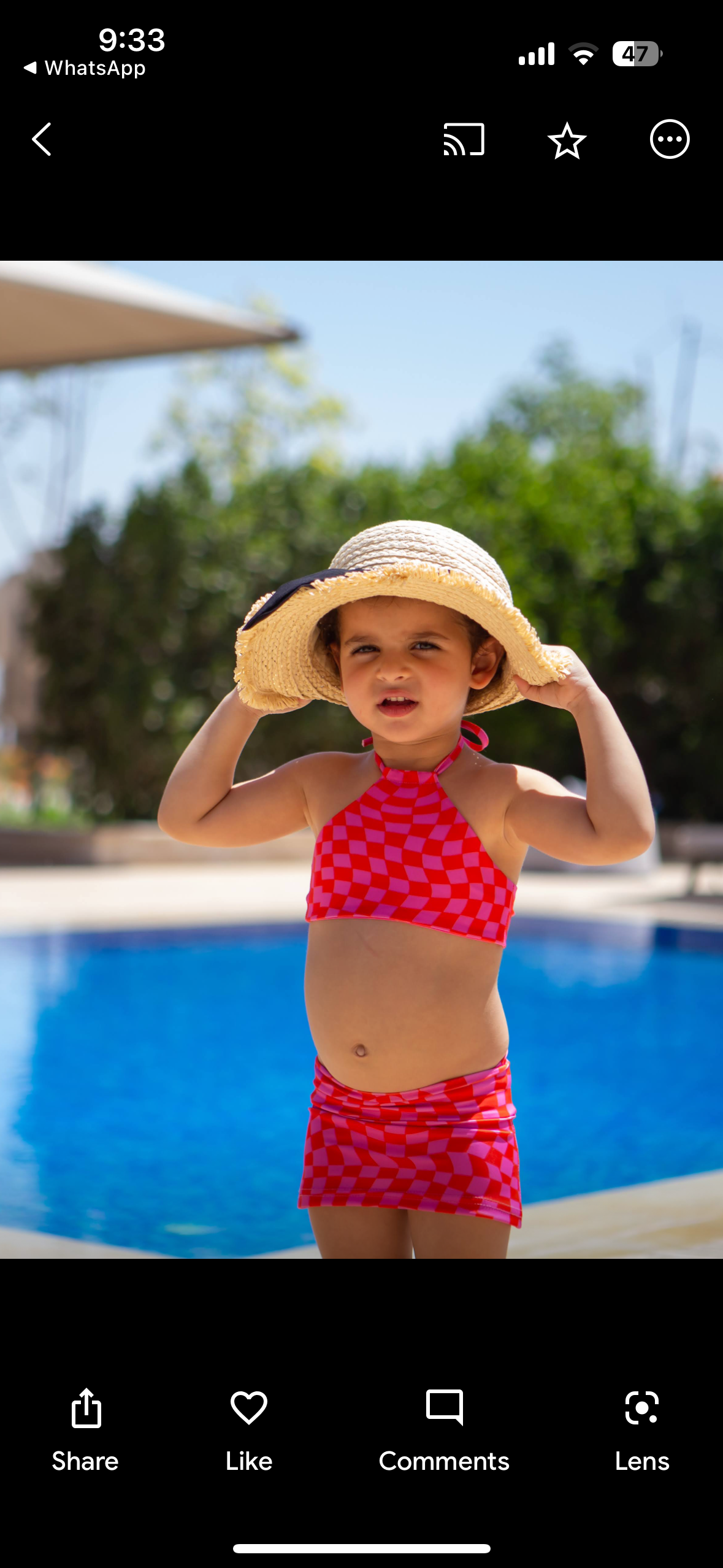 Berries Cache Maillot (skirt only)