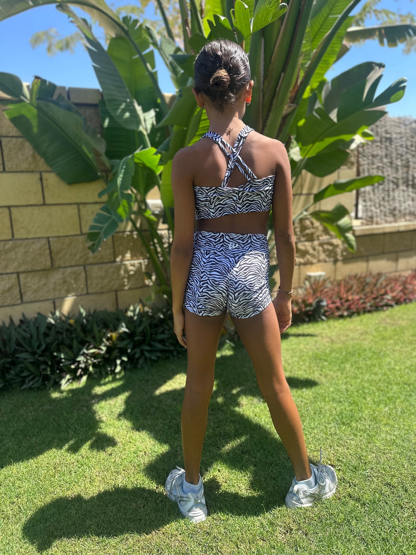 Power Fit Zebra